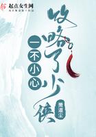 一不小心攻略了男主txt 一不小心攻略了男主txt